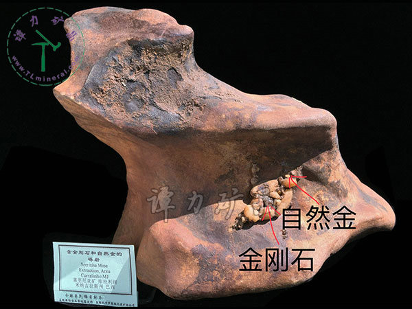 含金剛石和自然金的礫巖，巴西，米納斯吉拉斯州