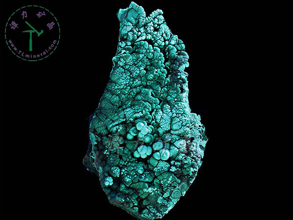 孔雀石開屏，孔雀石，剛果