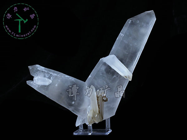 日本律雙晶，內(nèi)蒙古內(nèi)蒙古，東烏珠穆沁旗，額仁高畢,六井,976層,2016年產(chǎn)出