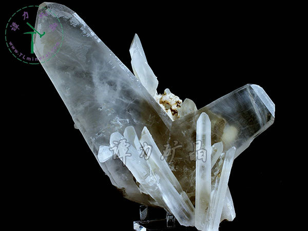 日本律雙晶，內(nèi)蒙古東烏珠穆沁旗，額仁高畢,六井,976層,2016年產(chǎn)出