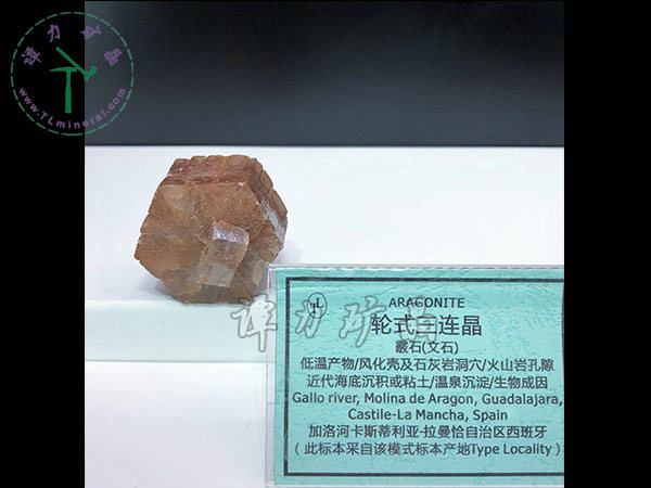 輪式三連晶霰石，西班牙