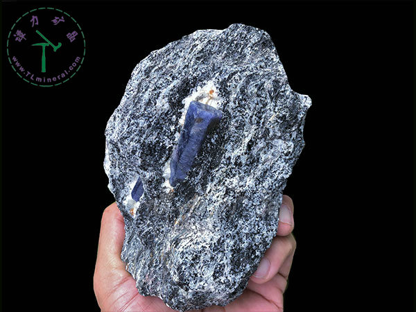 藍(lán)寶石+片麻巖，馬達(dá)加斯加，--13x9x5，主晶：4.0x1.5x1.5