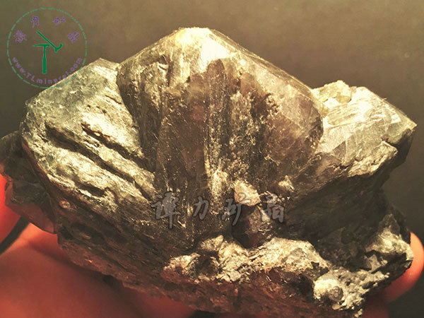 亞歷山大石（變石）輪式雙晶+津巴布韋，12x10x5.0(鎢絲白熾燈下拍攝)