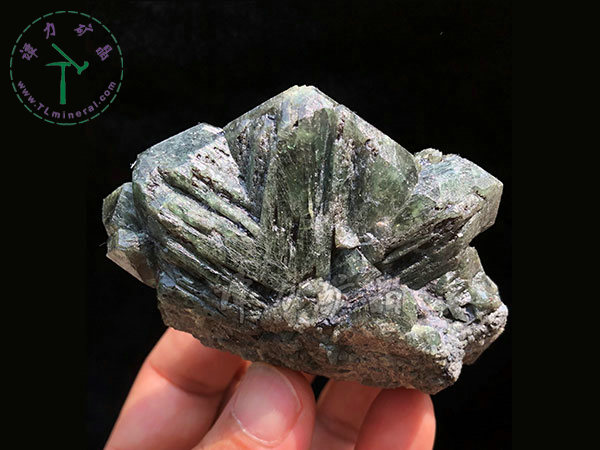 亞歷山大石（變石）輪式雙晶+津巴布韋，12x10x5.0(陽光下拍攝)